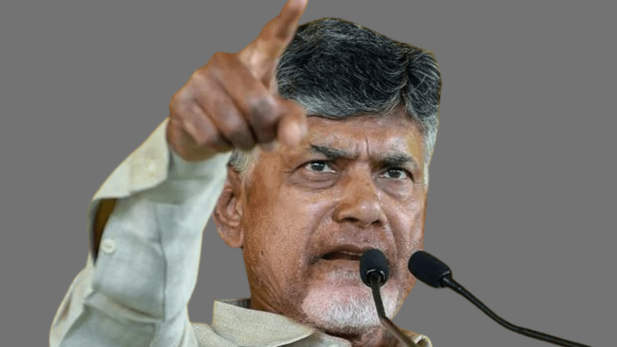 N Chandrababu Naidu bailed in court